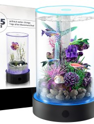  Desktop Small Fish Tank | Maintenance-Free, Year-Round Pure Water 12*20cm